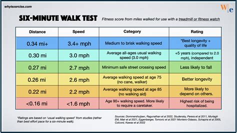 Average Walking Speed: 5 Everything You Need to Know in 2025