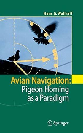 Avian Navigation Pigeon Homing as a Paradigm 1st Edition Kindle Editon