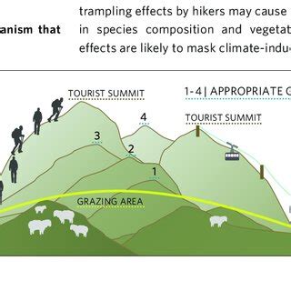 Avoid Direct Impact: