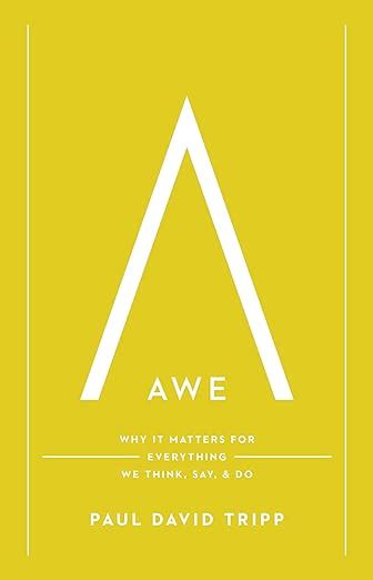 Awe Why It Matters for Everything We Think Say and Do Epub