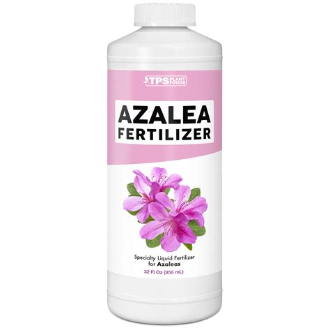 Azalea Fertilizer: The Complete Guide for Thriving Plants