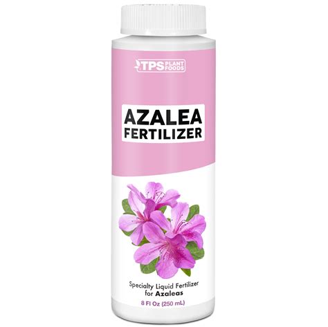 Azaleas Fertilizer 101: Essential Nutrients and Fertilizing Techniques