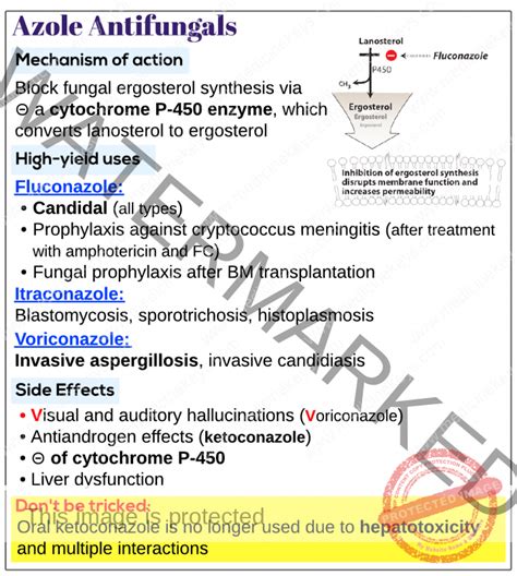 Azole Antifungals: