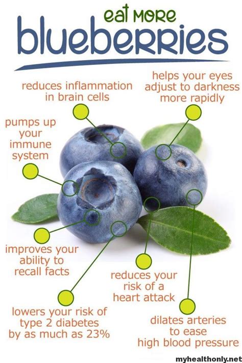 Azurite Blueberries: 101 Amazing Health Benefits, Uses, and Fun Facts