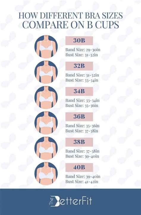 B Cup Size Chart