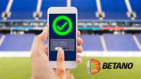 B1.bet: A plataforma de apostas esportivas que está revolucionando a indústria