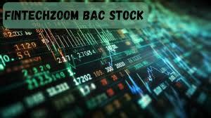 BAC Stock Performance Overview