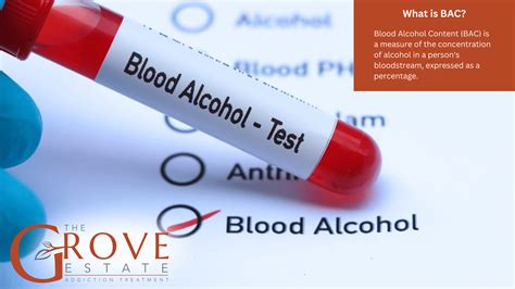 BAC Talent: A Comprehensive Guide to Assessing and Cultivating Blood Alcohol Concentration Levels