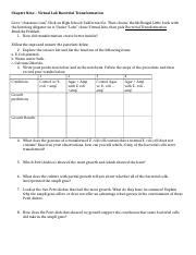 BACTERIAL TRANSFORMATION VIRTUAL LAB CLASSZONE ANSWERS Ebook Reader