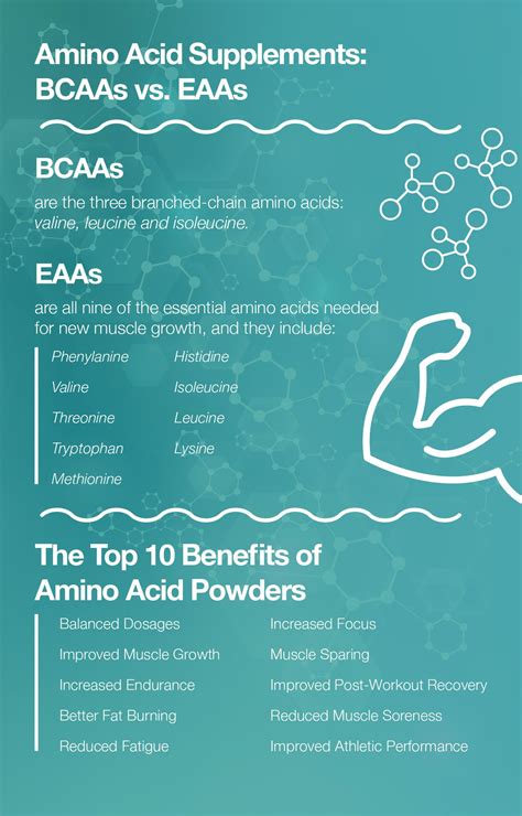 BCAAs: The Essential Amino Acids for Your Health and Fitness Goals at BCA Edu SG