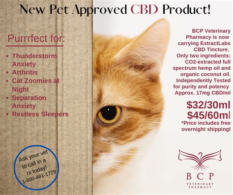 BCP Pet Pharmacy: The Ultimate Guide to Affordable and Convenient Pet Care