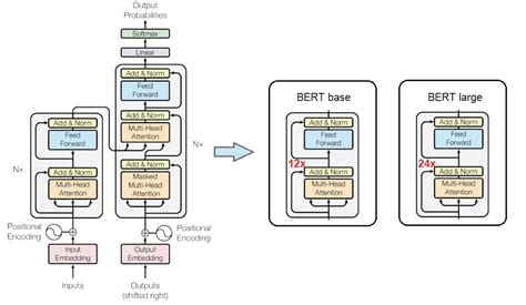 BERT (Bidirectional Encoder Representations from Transformers):