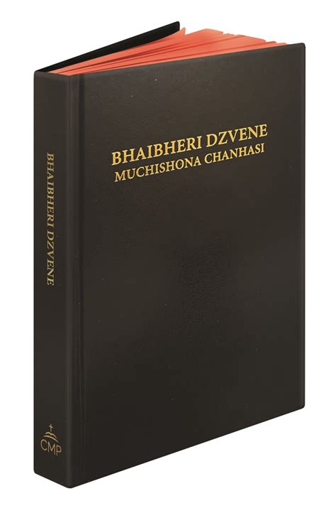 BHAIBHERI DZVENE NEW AND OLD TESTAMENT Ebook Reader