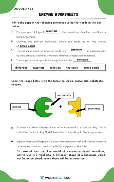 BIOLOGY BIOCHEMISTRY UNDERSTANDING ENZYMES ANSWER KEY Ebook Reader