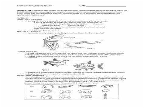 BIOLOGY LAB NATURAL SELECTION OF STRAWFISH ANSWERS Ebook Reader