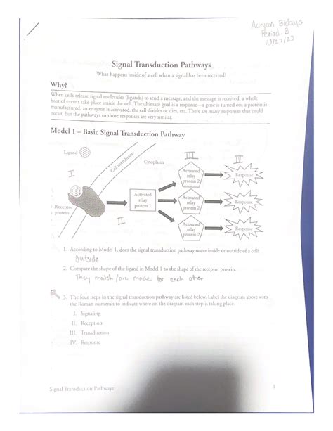 BIOLOGY POGIL IMMUNITY ANSWER KEY Ebook Doc