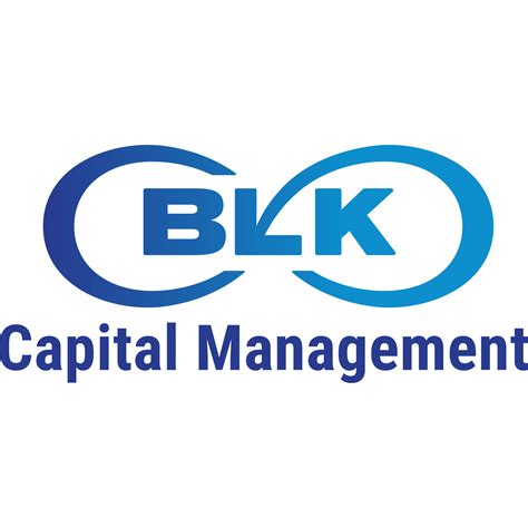 BLK Capital Management: A 10,000-Word Comprehensive Guide