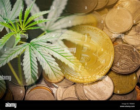 BLK Coin: The Future of Cryptocurrency for the Cannabis Industry