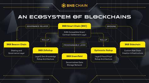 BNB 12: A Comprehensive Guide to Increasing Your BNB Holdings