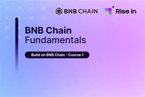 BNB Cours: Understanding The Fundamentals and Uncovering The Potential