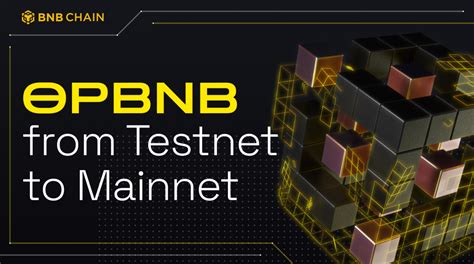 BNB Smart Chain Testnet: A Comprehensive Overview for Enhanced Developer Proficiency