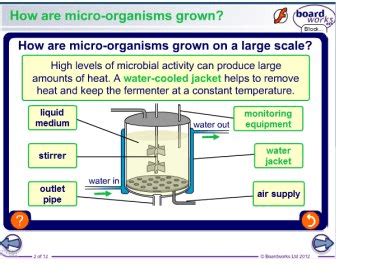 BOARDWORKS GCSE SCIENCE BIOLOGY Ebook Epub