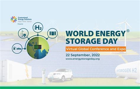 BOMW: A Journey Into the Multifaceted World of Energy Storage