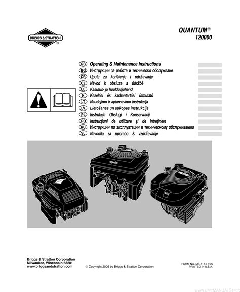 BRIGGS AND STRATTON QUANTUM POWER 5HP MANUAL Ebook PDF