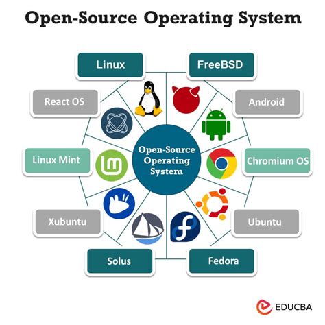 BSD Elise: Unraveling the Potential of a Versatile Open Source Operating System