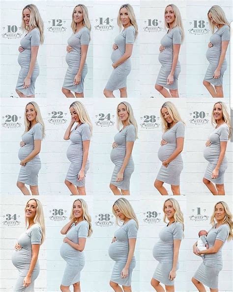 Baby and Bump The This and That Series Volume 1 PDF