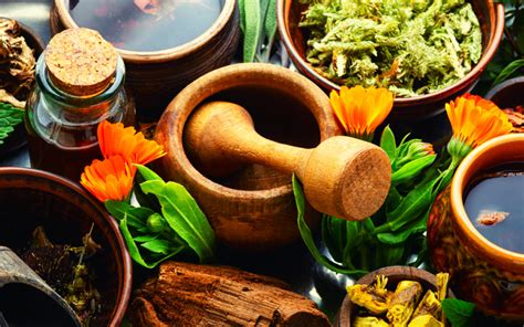 Bacax: The 5000-Year-Old Herbal Remedy That's Revolutionizing Modern Medicine