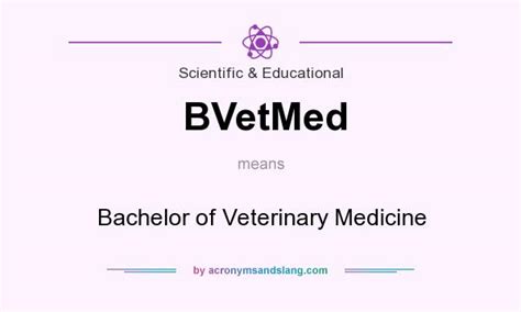 Bachelor of Veterinary Medicine (BVetMed)