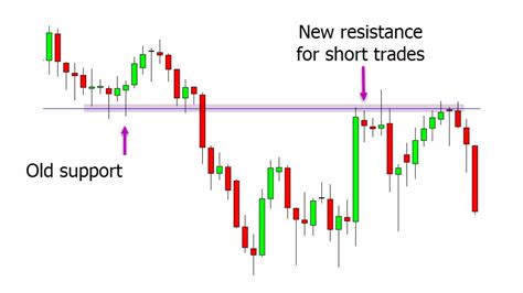 Back Chart 101: A Comprehensive Guide to Charting Trends and Patterns