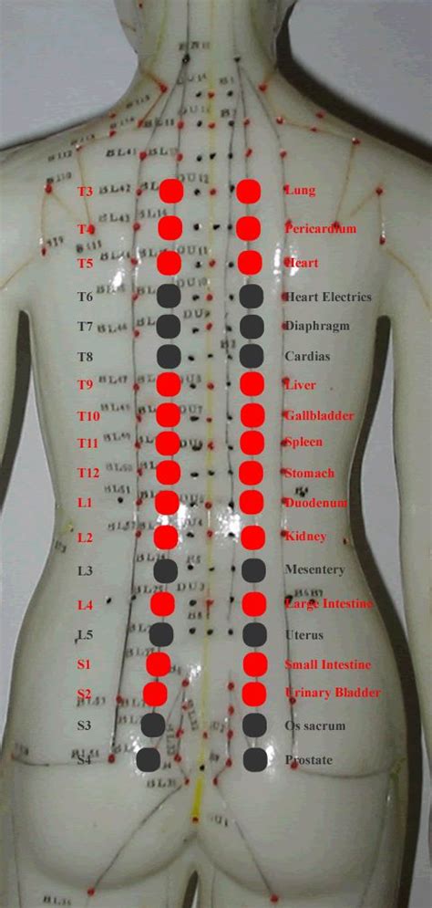 Back Pressure Points Chart