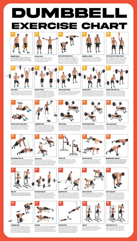 Back Workout at Home with Dumbbells: A Comprehensive Guide