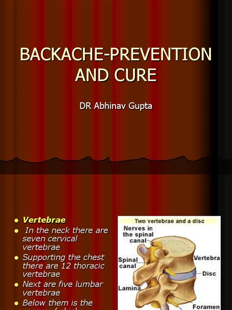 Backache Prevention and Cure Epub