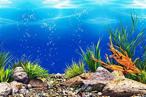 Backgrounds For Fish Tanks Printable Free