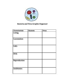 Bacteria And Viruses Graphic Organizer Answers PDF