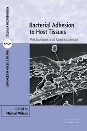 Bacterial Adhesion to Host Tissues Mechanisms and Consequences Doc