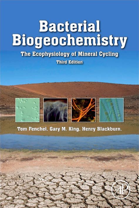 Bacterial Biogeochemistry The Ecophysiology Of Mineral Cycling 3rd Edition Reader