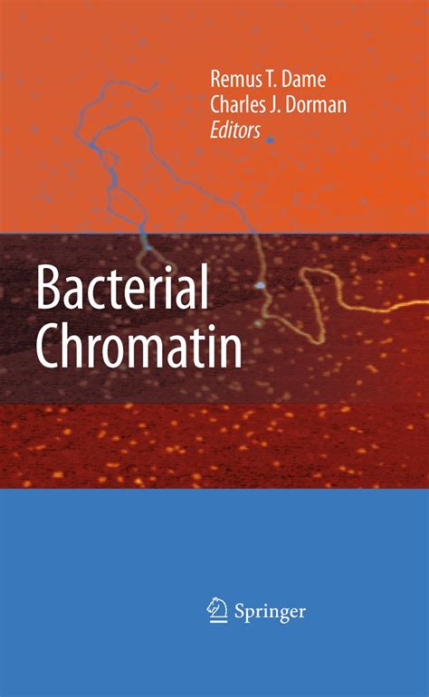 Bacterial Chromatin 1st Edition Doc