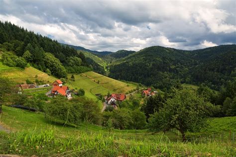 Baden-Württemberg: A Black Forest Adventure