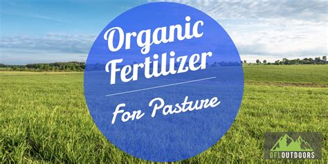 Bag Pasture Grass Fertilizer: Find What You Need Near You Today!