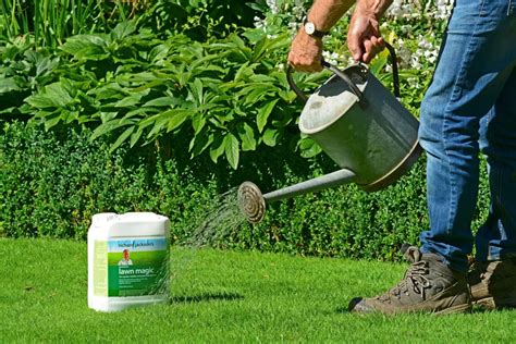 Bahia Grass Fertilizer: A Comprehensive Guide to Maintaining a Lush Lawn