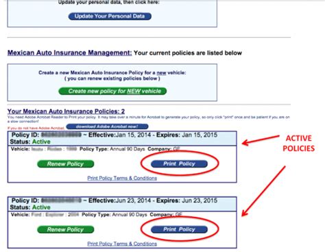 Baja Auto Insurance: 4 Questions You Need to Ask Before Buying