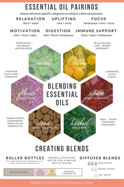 Balanced Blends: The Essential Guide to Flavorful and Functional Combinations