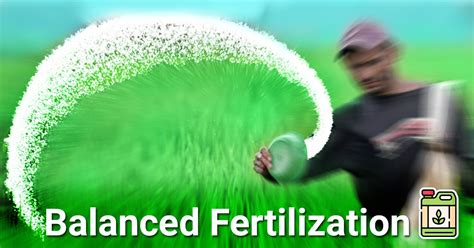 Balanced Fertilization: The 5-3-2 Rule for Optimal Plant Growth