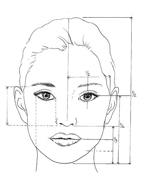 Balancing the proportions of the face: