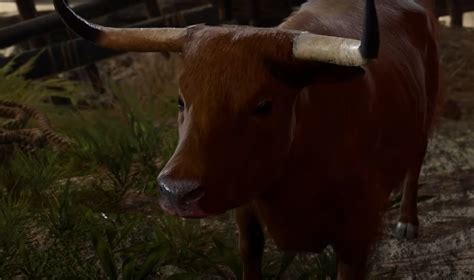 Baldur's Gate 3: The Strange Ox and Its Hidden Secrets