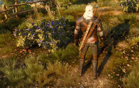 Balisse Fruit in Witcher 3: A Complete Guide